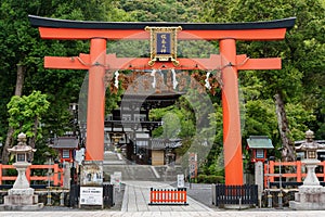 Matsunoo Taisha Shrine Torii Gate. Kyoto, Japan