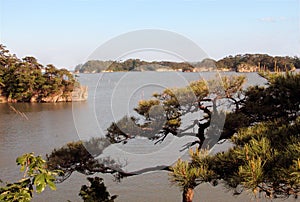 Matsushima photo