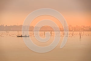 Matsushima Sea and Vessel Image