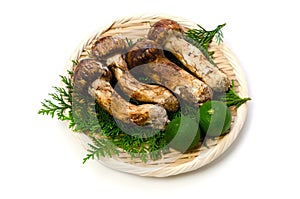 Matsutake mushroom