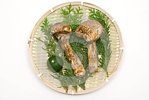 Matsutake mushrooms