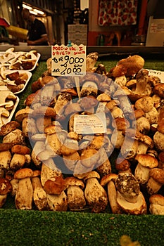 Matsutake mushrooms for sale at Mercado Orientale