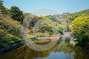 Matsuyama castle and green forest park in Matsuyama, Shikoku, Japan