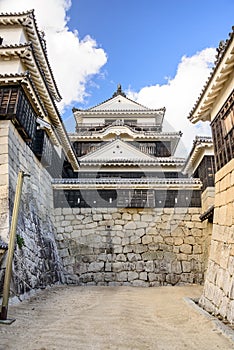 Matsuyama Castle in Japan