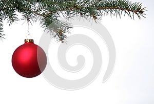 Rojo mate bola de Navidad se cuelga de la rama del pino.