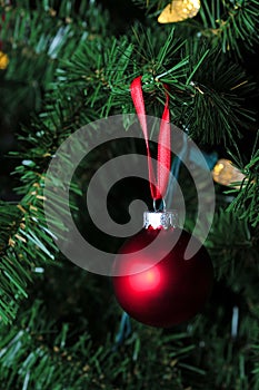 Matte red christmas ornament hanging on tree