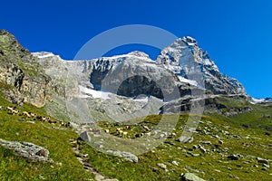 Matterhorn, Monte Cervino in the Alps