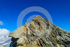 Matterhorn, Monte Cervino, Italy, Italian Alps