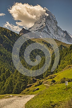 Matterhorn mountain near Zermatt city with flowers abd trees in the foreground. Canton of Valais