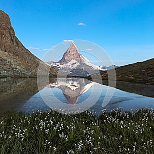 Matterhorn reflecton in Riffelsee with flowers, Zermatt, Alps, S