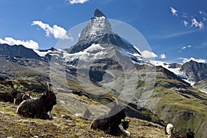 Matterhorn switzerland