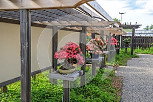 Matthaei Botanical Gardens in University of Michigan, Ann Arbor