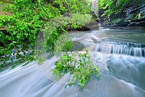 Matthiessen State Park Waterfall Illinois