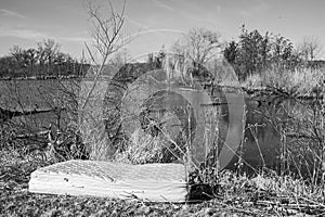 Mattress abandoned on the shore of a forest preserve