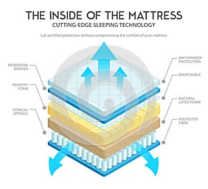 Mattress Anatomy Illustration