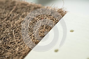 Mattress with coconut fiber. Coconut coir and Nature para latex rubber. Grated coconut shell for the production of mattresses.