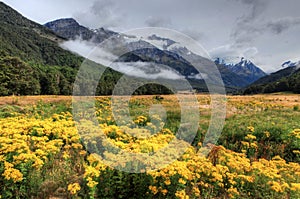 Matukituki valley