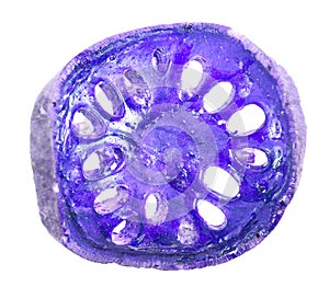 Matum isolated on white background