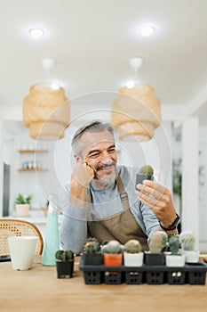 Mature Adult Man caring cactus at home