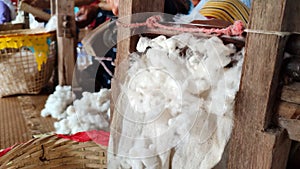 Mature Asian women do separating the seeds from the cotton with an old traditional machine in Thailand