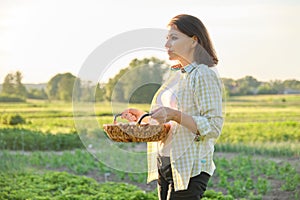 Mature beautiful woman farmer with basket of fresh eggs