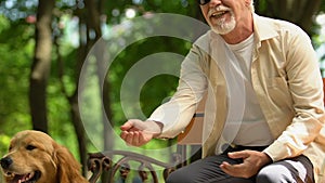 Mature blind man feeding dog from hand resting on bench in park, friendship