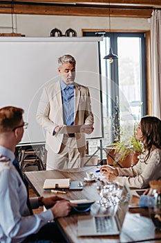 Mature businessman giving a presentation in a business meeting.