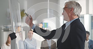 Mature businessman giving presentation to his colleagues in modern office.