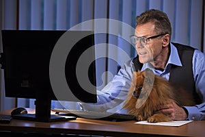 Mature businessman looking with his dog at computer sreen in an office at night