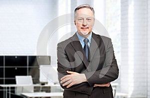 Mature businessman portrait