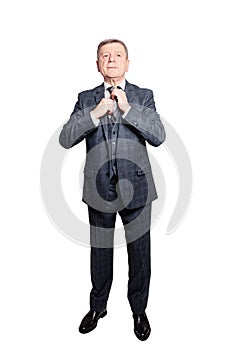 Mature Businessman wearing Suit. Senior Man Isolated