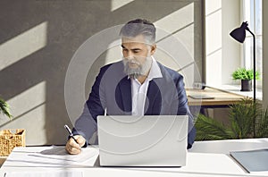 Mature businessman working in the office, using his laptop, and writing something on paper