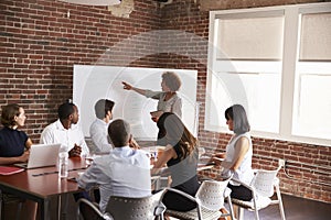 Mature Businesswoman Addressing Boardroom Meeting