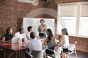 Mature Businesswoman Addressing Boardroom Meeting