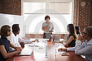 Mature Businesswoman Addressing Boardroom Meeting