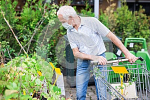 Mature Caucasian male retired in medical mask protecting from the virus buying plant for home garden in store