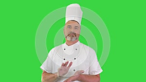 Mature chef looking at camera while clapping his hands acclaiming on a Green Screen, Chroma Key.