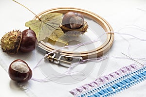 Mature chestnuts, autumn leaves and needlework on white background