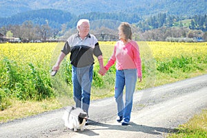 Mature Couple on a Afternoon Walk on a Country road