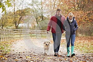 Mature Couple On Autumn Walk With Labrador