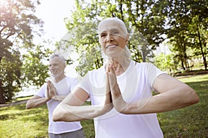 Mature couple doing meditation in the park stock photo