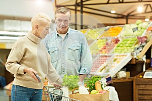 Mature Couple Grocery Shopping in Supermarket