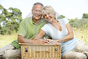 Mature couple having picnic in countryside