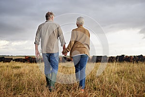 Mature couple holding hands and walking on a cattle farm, bonding and having a stress free day together. Senior farmers