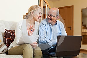 Mature couple with laptop in home