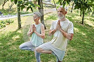 Mature couple making exercises at the nature at the open air