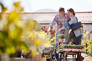 Mature Couple Pushing Trolley With Plants They Have Bought At Garden Center