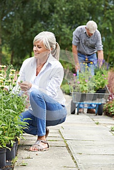 Mature Couple Shopping At Garden Centre