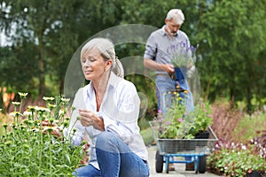 Mature Couple Shopping At Garden Centre