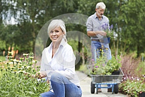 Mature Couple Shopping At Garden Centre